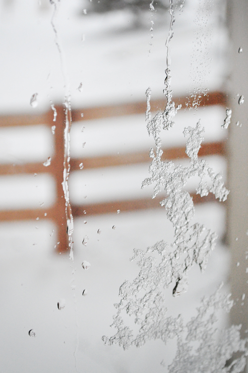 Flaky Snow & “I’m In The&nbsp;Front”