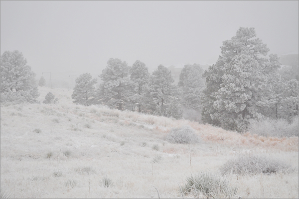 This Morning’s Frosty Haze, Kylie Turns 4, and Birthday&nbsp;Celebration