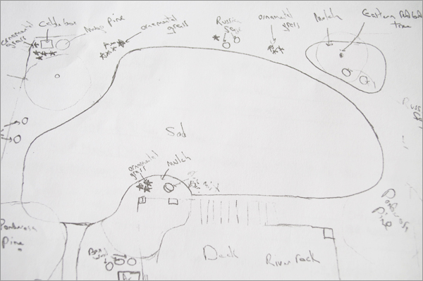 Backyard Landscape And More Front Yard&nbsp;Greens