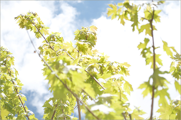 Digital Layouts: Blue Sunburst, Night at the Museum, and&nbsp;Painted