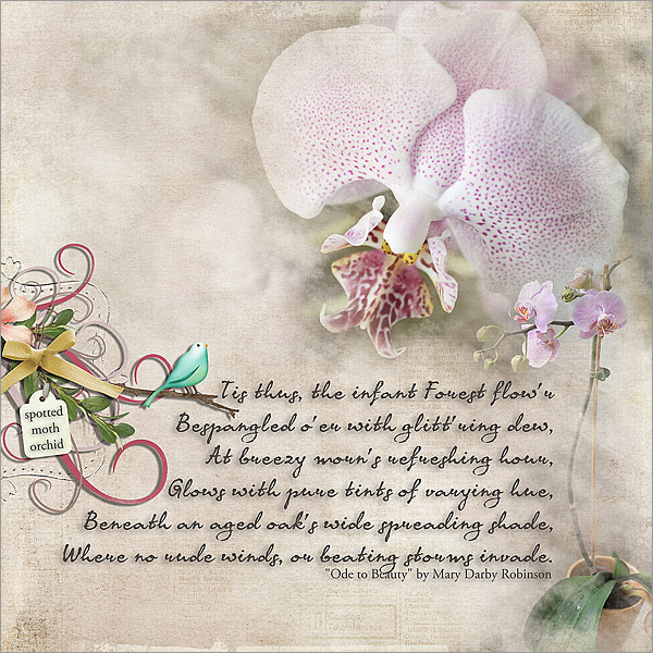 Digital Layout: Spotted Moth Orchid w/Poem “Ode to&nbsp;Beauty”
