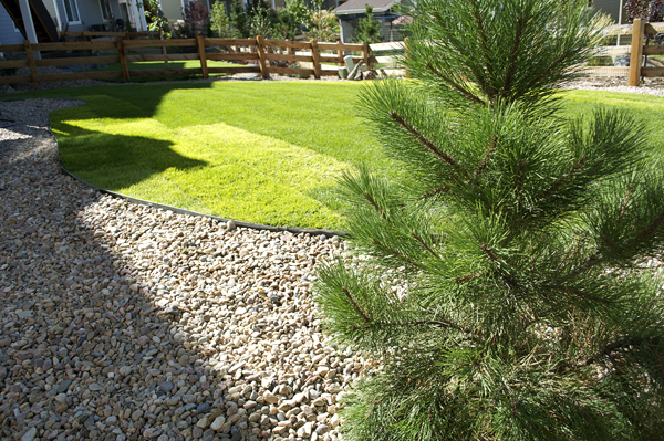 Backyard Finally Done!