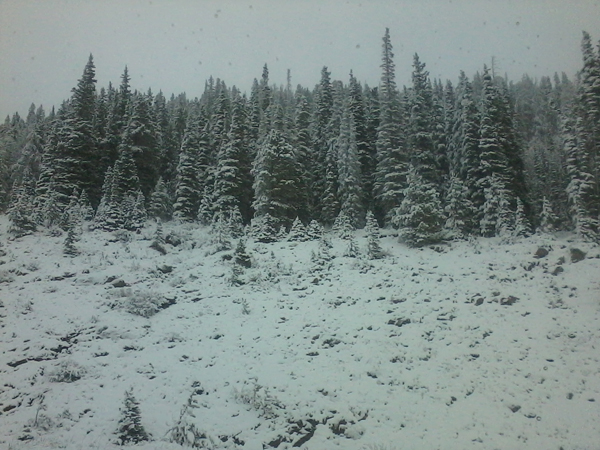 Road Trip To&nbsp;Vegas