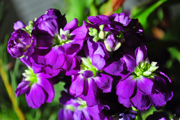 You Can Tell She’s a&nbsp;Princess