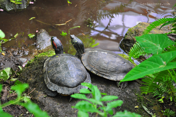 Photos From The Butterfly&nbsp;Pavilion