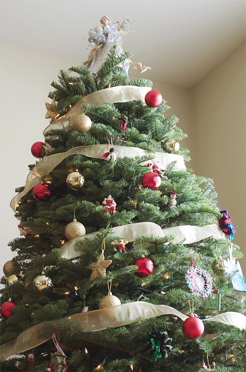 christmastree20120052_500