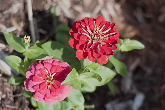 BUBBLESBURIAL0053_640