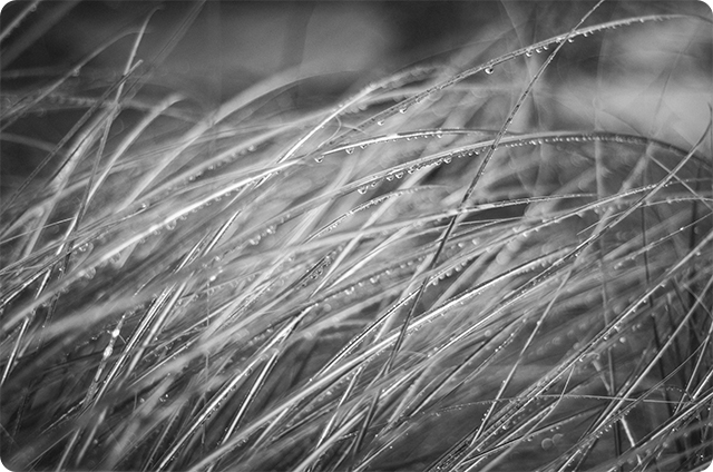 BWRAIN0912130021_640x