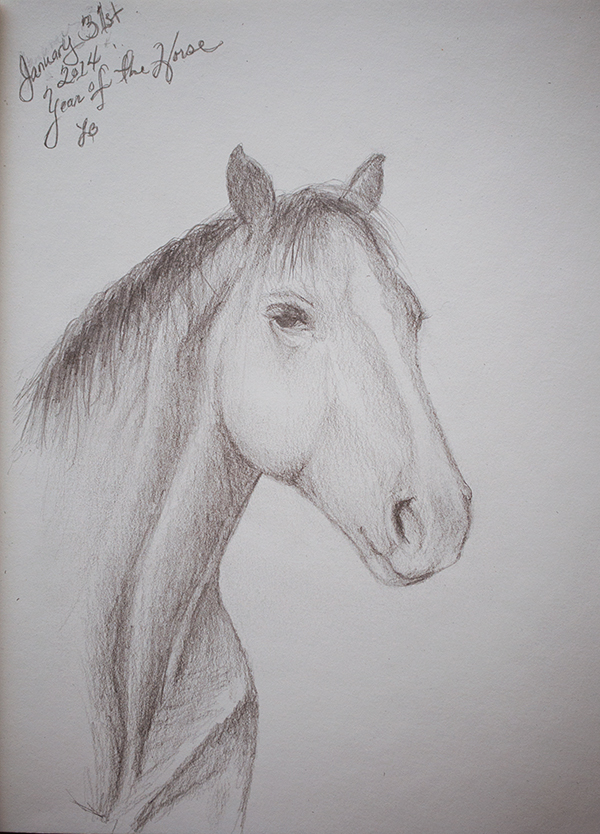 HORSE02012014_0002_600