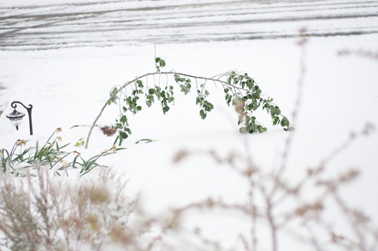 MAYSNOW051220140003_800