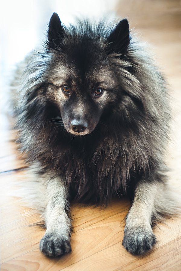 TEDDY021920150027f_800