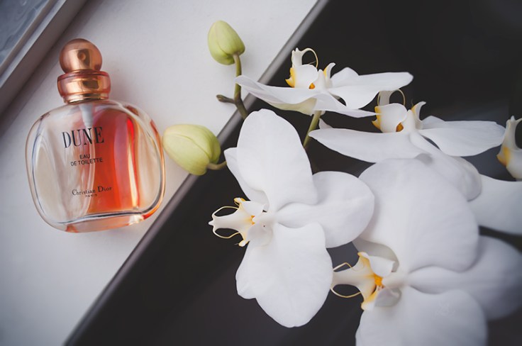 DUNE031320150005_800