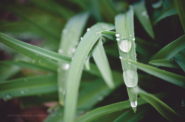 DEW050620150024_840