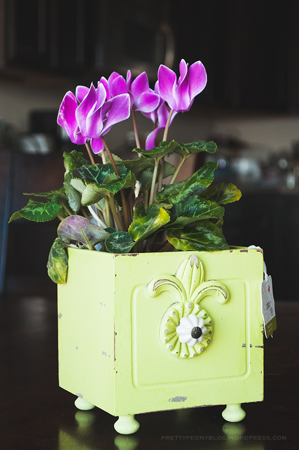 FLOWERS051120150032_600