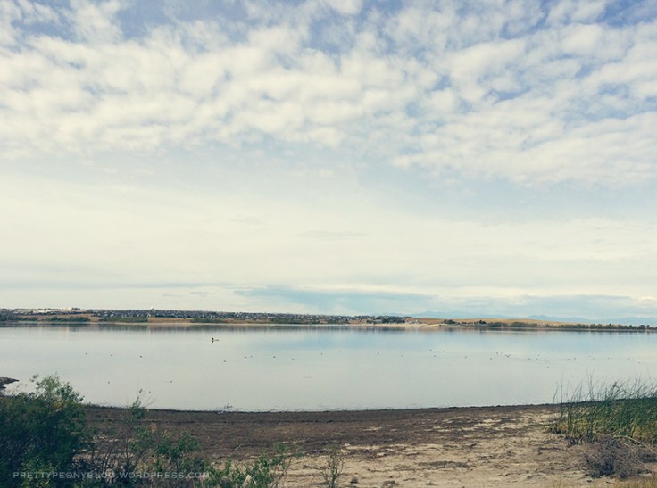 ARESEVOIR10-01-2015_10_840