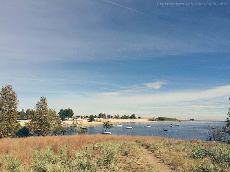 ARESEVOIR10-01-2015_18_840