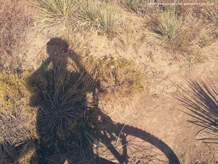 ARESEVOIR10-01-2015_19_840