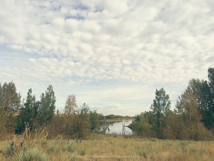 ARESEVOIR10-01-2015_1_840