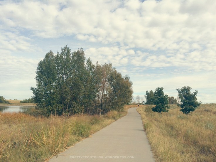 ARESEVOIR10-01-2015_5_840