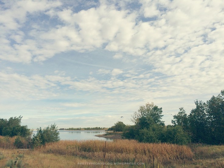 ARESEVOIR10-01-2015_6_840