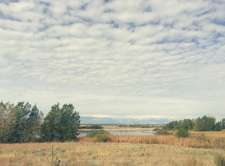 ARESEVOIR10-01-2015_9_840