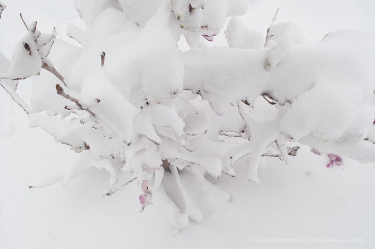 APRILSNOW-041620160028_840