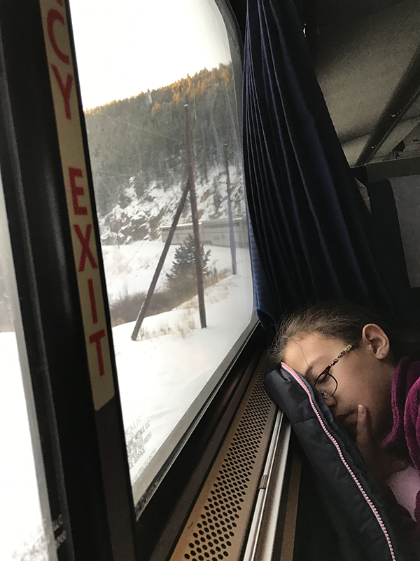 trainwinterpark2019-01-19_4