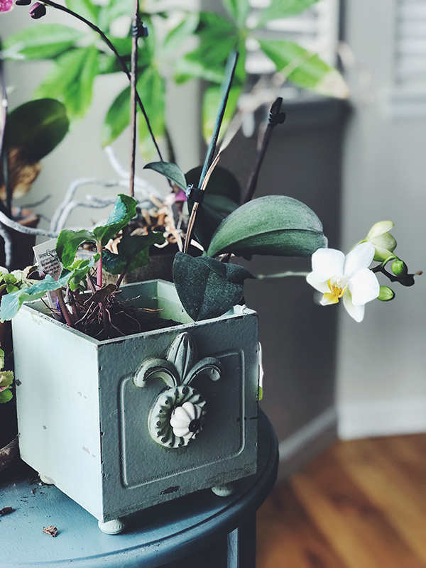 Processed with VSCO with f2 preset