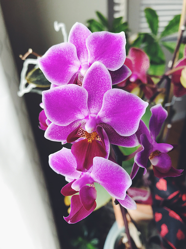 Processed with VSCO with f2 preset