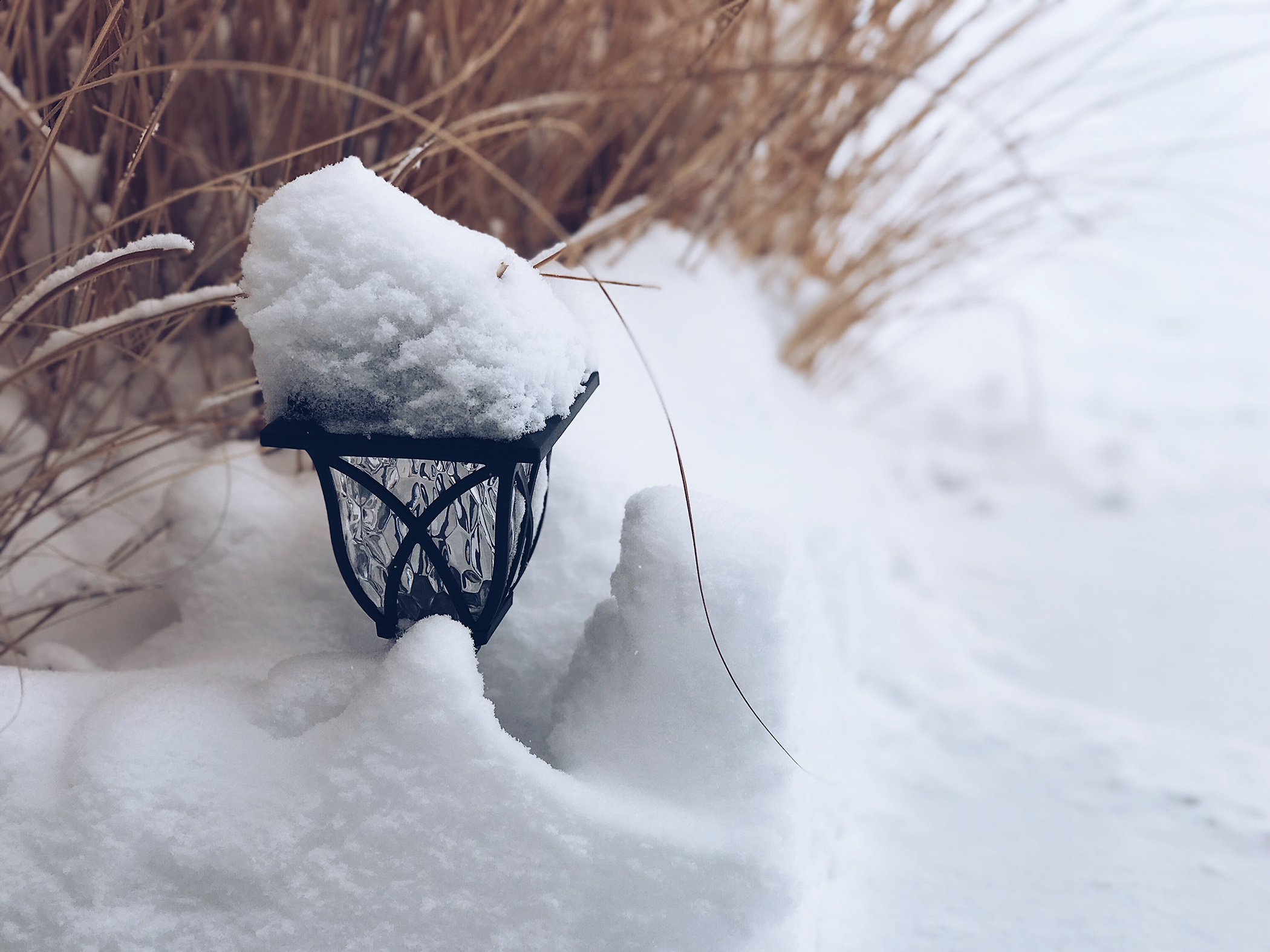Snow Day (Photos) and Unboxing Video of 3 Notebook&nbsp;Covers